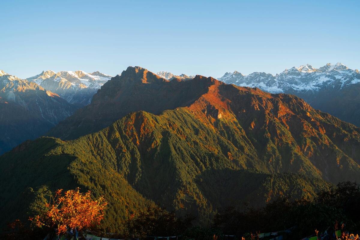 Majestic Himalayan mountains with forests and wildlife, showcasing the need for protection and conservation.